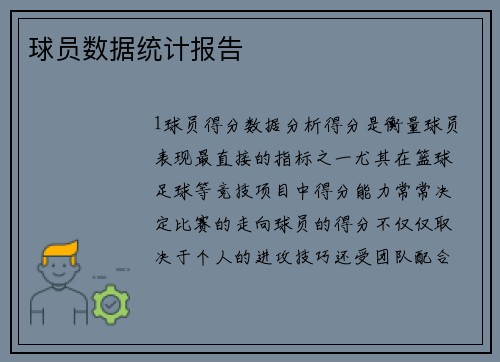 球员数据统计报告