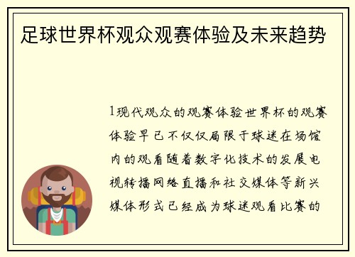足球世界杯观众观赛体验及未来趋势